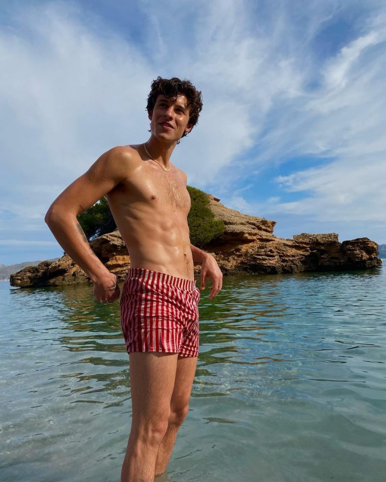 Shawn Mendes Posta Fotos Sem Camisa E F S Piram