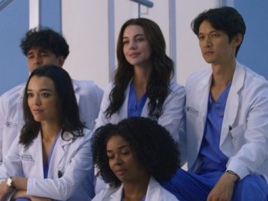 Grey s Anatomy é renovada para 20ª temporada nova showrunner