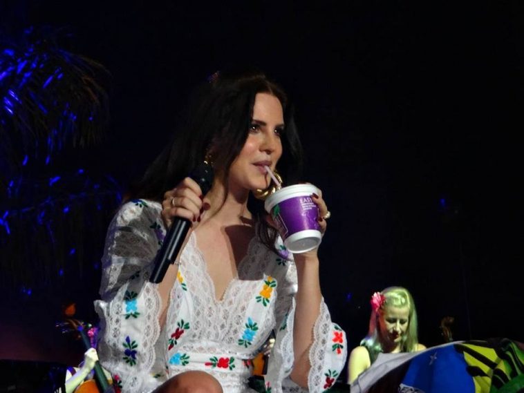 Lana Del Rey no Brasil veja fotos e vídeos do show em Belo Horizonte