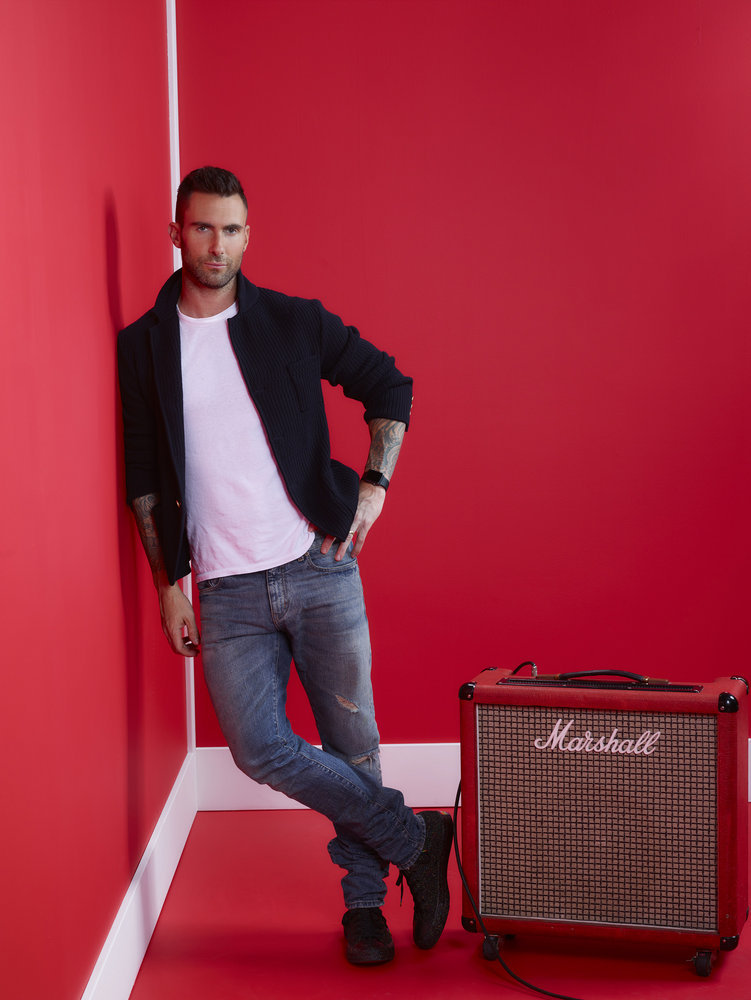 adam-voice2