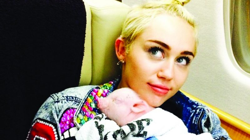 Miley Cyrus with Bubba Sue