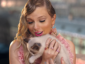 Cães, gatos e ovelhas giram 360º ao som de Taylor Swift; conheça