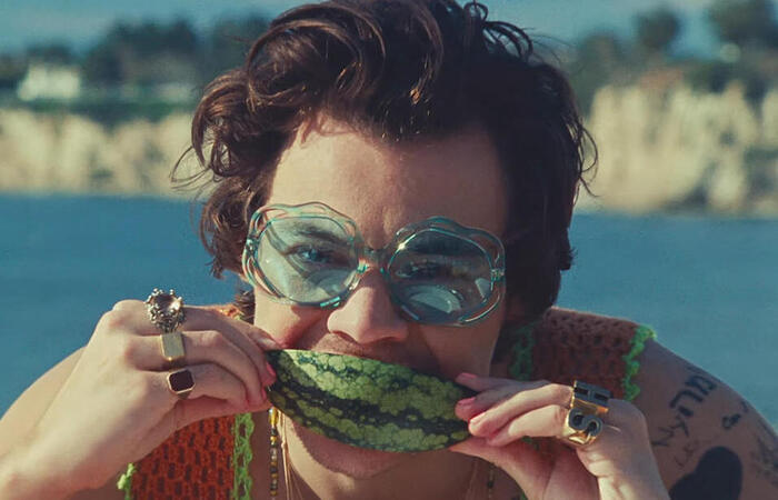 Harry Styles Watermelon Sugar EUA