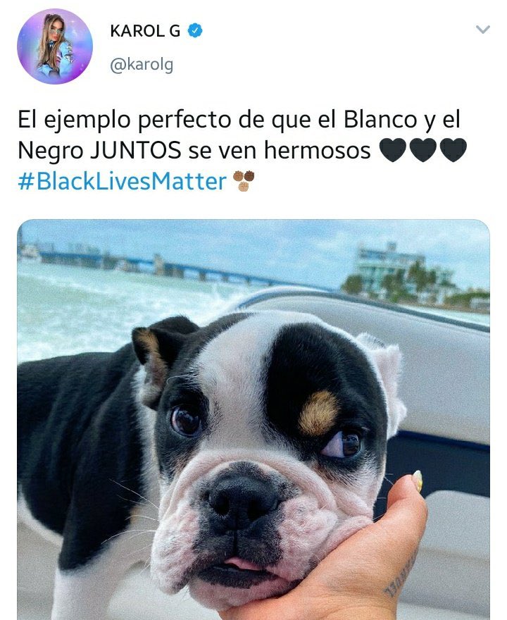 Karol G usa foto de cachorro para tratar do Black Lives Mater