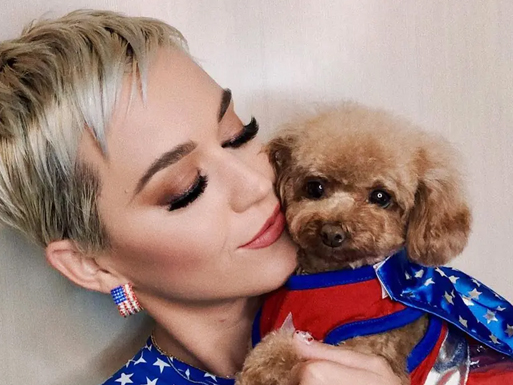 Katy Perry é criticada por dar dieta vegana para cachorro