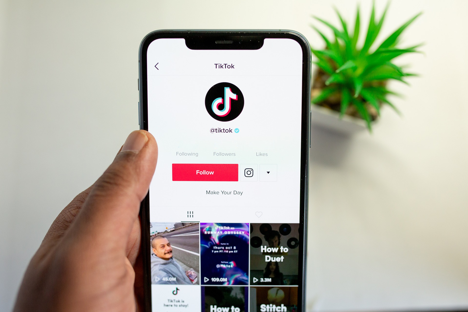 TikTok lança recurso personalizável para geração de leads