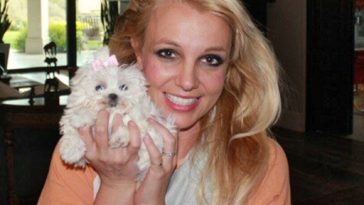Cachorros de Britney Spears foram tirados dela