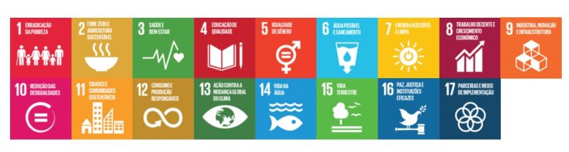 17 ODS Agenda 2030 de Sustentabilidade