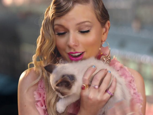 Taylor Swift compartilha conversa com seu gatinho