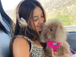 Sabina Hidalgo, do Now United, lamenta morte de sua cachorrinha