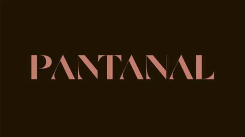 "Pantanal" ganhará 10 novos personagens; saiba quem são eles!