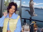 Cardi B se revolta com gaivota que roubou sua comida e diverte web