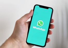 WhatsApp: saiba como sair dos grupos silenciosamente e ocultar o 'online'