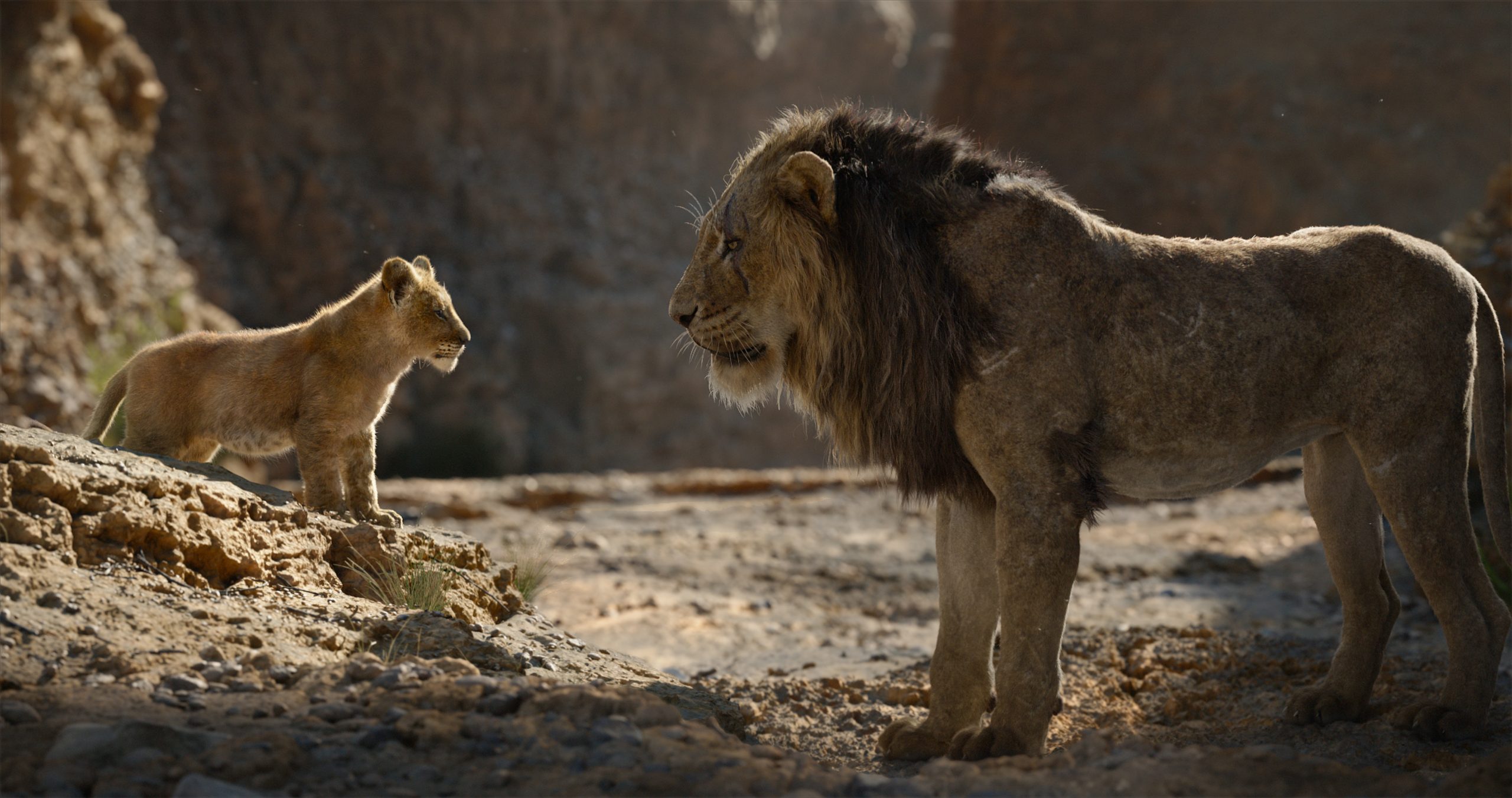 Disney anuncia estreia de "Mufasa - O Rei Leão" para 2024