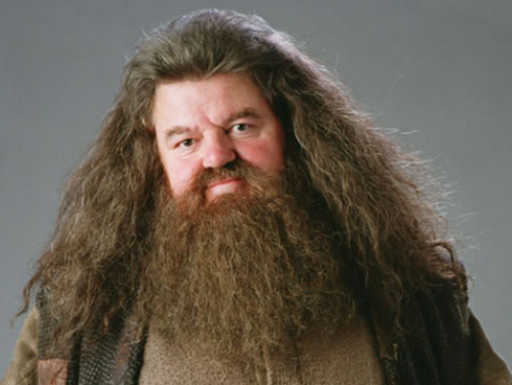 Robbie Coltrane, o Hagrid de "Harry Potter", morre aos 72 anos