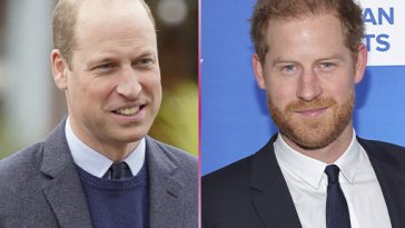 Briga entre Harry e William estaria preocupando o Palácio, diz site