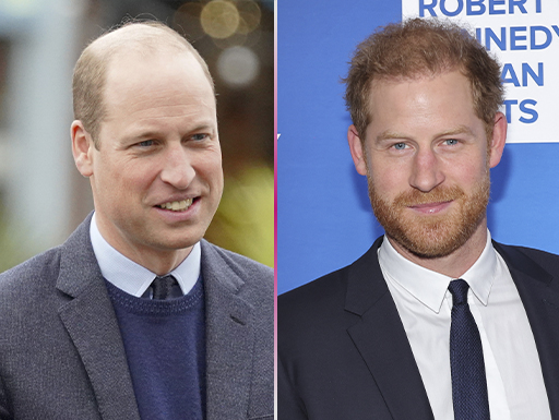 Briga entre Harry e William estaria preocupando o Palácio, diz site