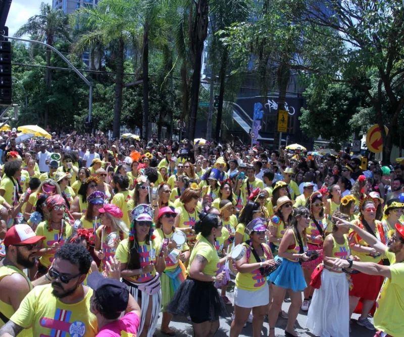 Studio SP recebe grandes blocos do carnaval de rua de São Paulo a partir de  sábado (14) e mantém programação animada até fevereiro - Jornal de Brasília