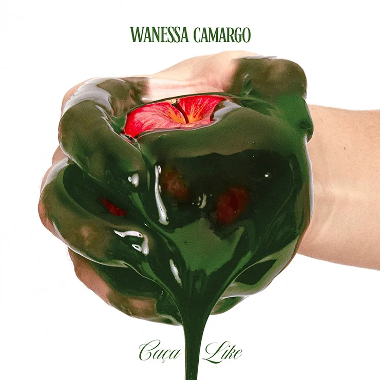 Novo single da Wanessa Camargo