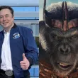 Elon Musck é referência para vilão de "Planeta dos Macacos: O Reinado"