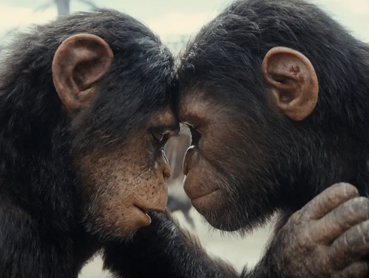 O que os críticos dizem sobre "Planeta dos Macacos: O Reinado"