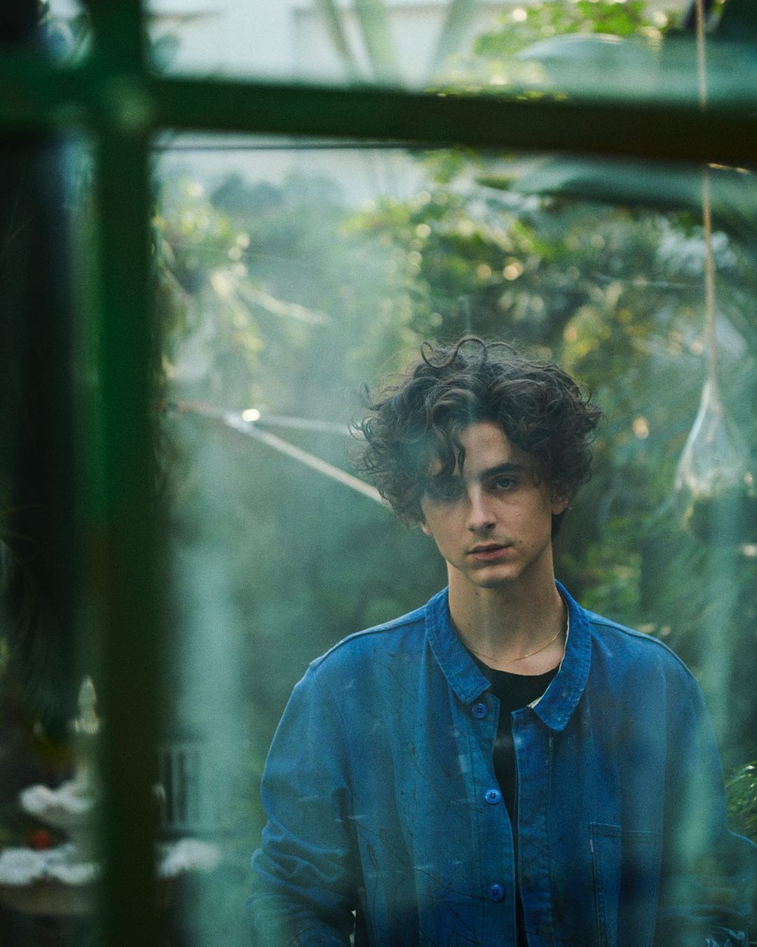 Timothée Chalamet estrela filme mais caro da A24