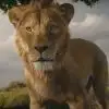 "Mufasa: O Rei Leão", aposta da Disney para dezembro, ganha trailer novo