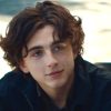 Timothée Chalamet estrela filme mais caro da A24