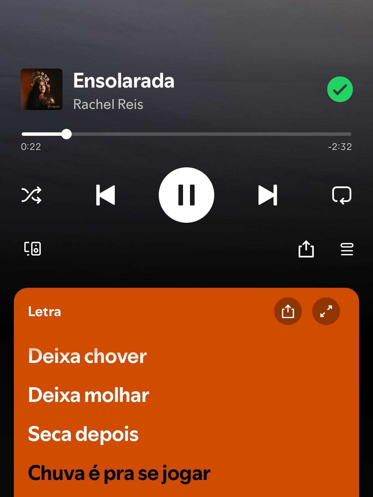 Vem lançamento? Letras de Rachel Reis no Spotify aparecem trocadas