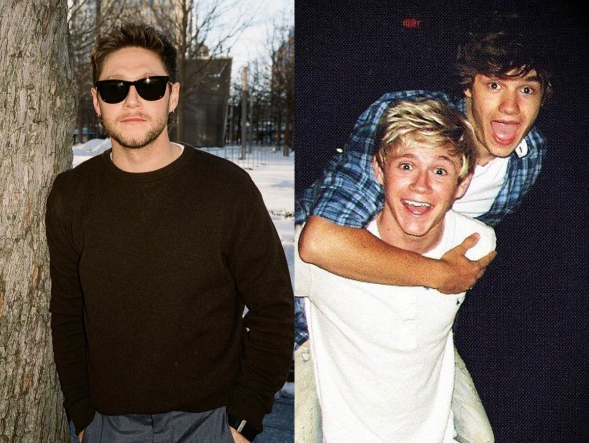 Novo álbum de Niall Horan traz homenagem emocionante a Liam Payne; artistas eram amigos desde One Direction