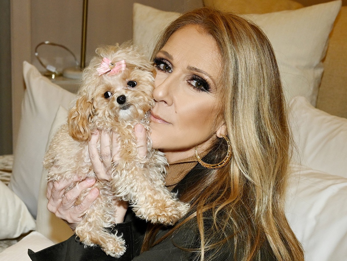 Céline Dion atrai mais de 9 milhões de pessoas à pré-venda de shows que marcam seu retorno aos palcos